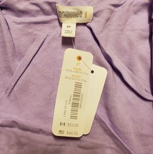 Gymboree Jackets & Coats - ⚠️⚠️Gymboree 2T baby girl wind breaker⚠️⚠️ Gymboree Jackets & Coats - ⚠️⚠️Gymboree 2T baby girl wind breaker⚠️⚠️